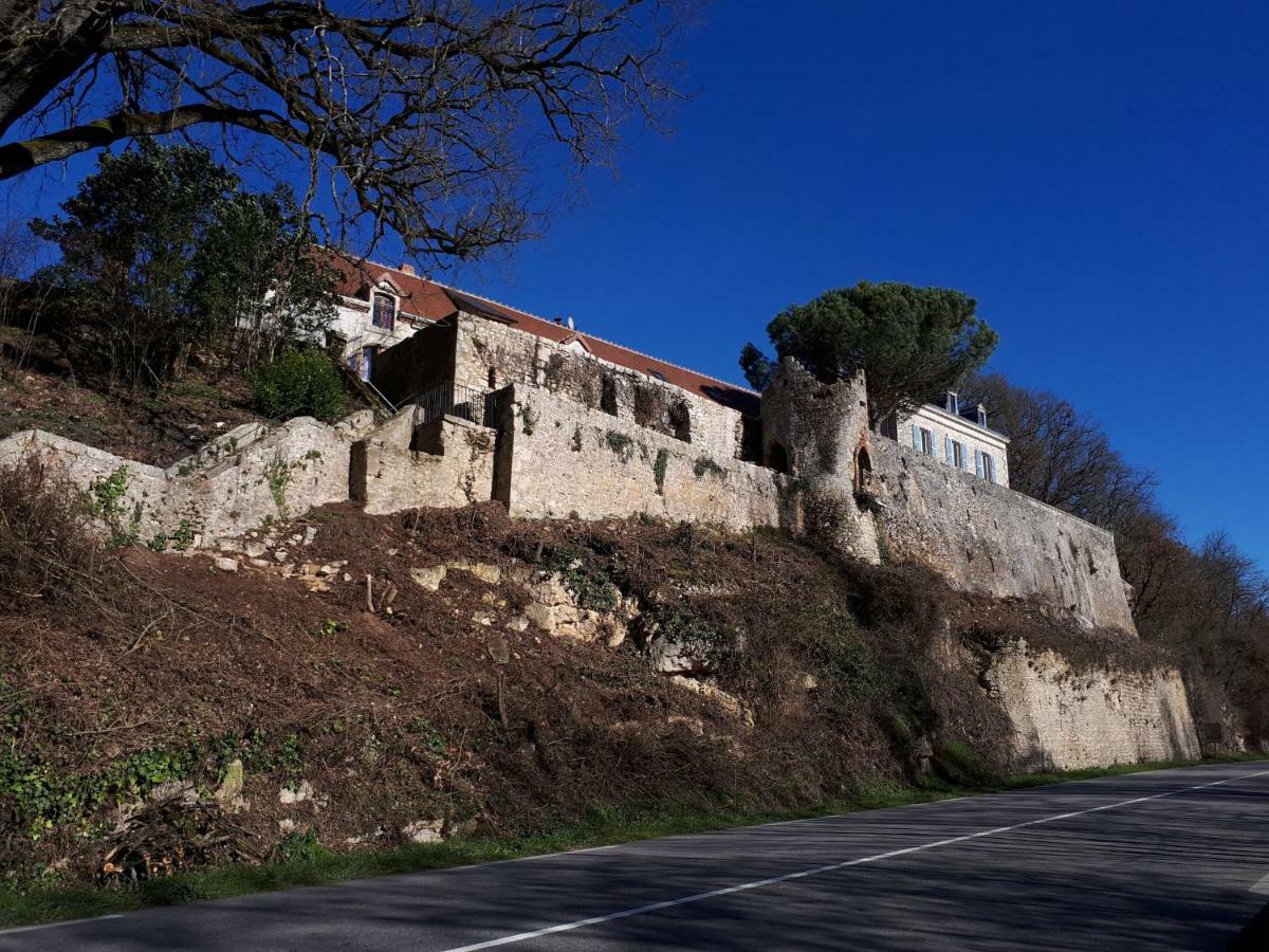 Villa Du Cerf Thibault ル・ブラン エクステリア 写真